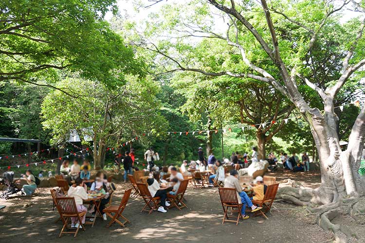 (※画像はイメージです)